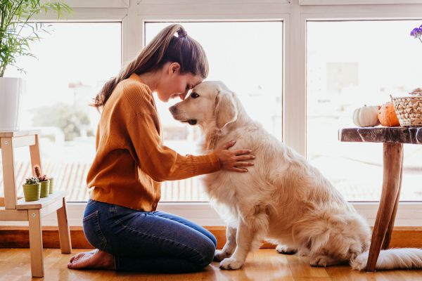 The Role of Pets in Emotional and Mental Wellbeing